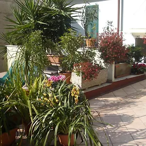 https://ristorante-albergo-roma.hotelitalianriviera.com